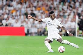 牌提供了展 牌提供了展